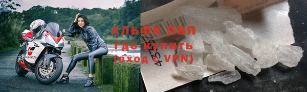 гидра Арсеньев