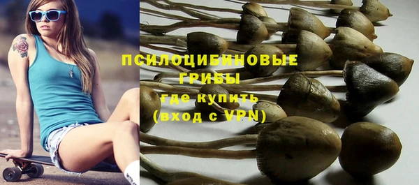 мяу мяу мука Баксан